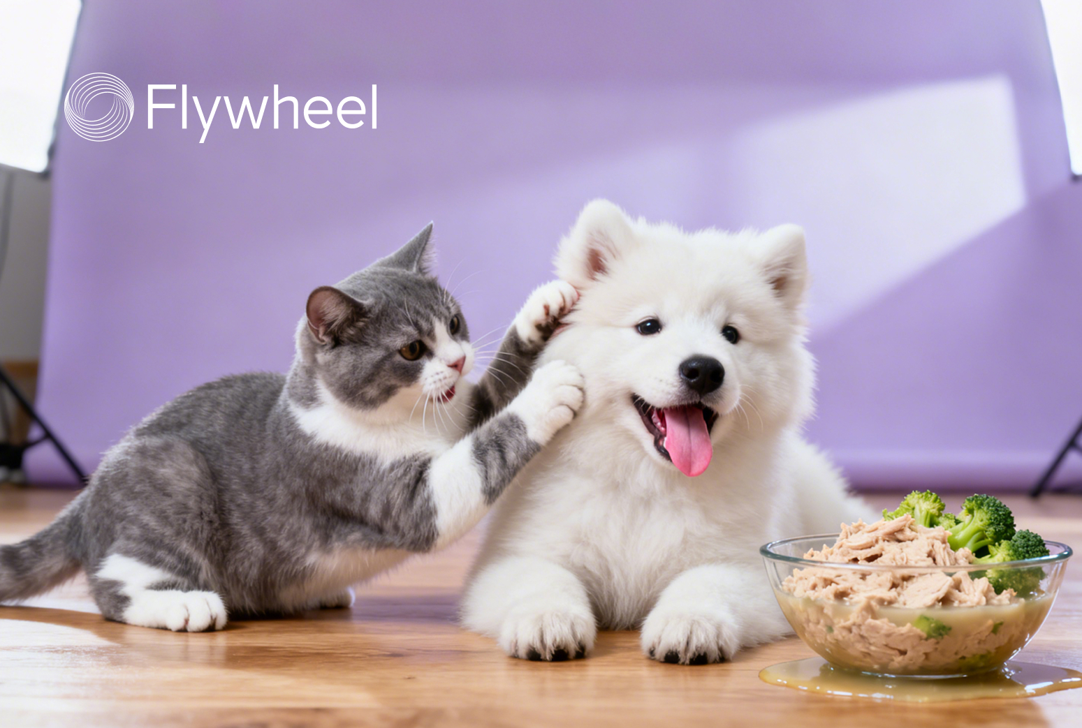 还在吃预制菜的人，让宠物吃上了鲜食